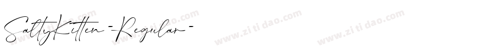 SaltyKitten-Regular字体转换