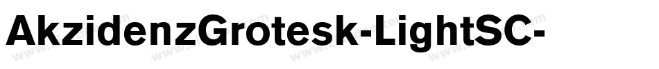 AkzidenzGrotesk-LightSC字体转换