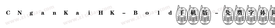 CNganKaiHK-Bold手机版字体转换