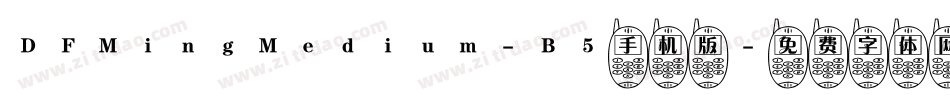 DFMingMedium-B5手机版字体转换