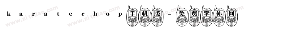 karatechop手机版字体转换