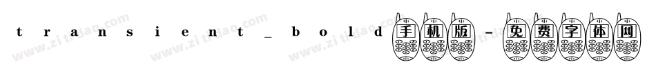 transient_bold手机版字体转换