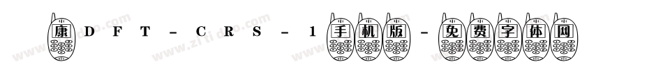 崋康DFT-CRS-1手机版字体转换