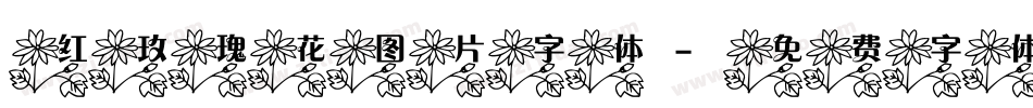 红玫瑰花图片字体字体转换