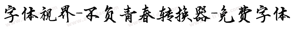 字体视界-不负青春转换器字体转换