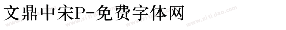 文鼎中宋P字体转换