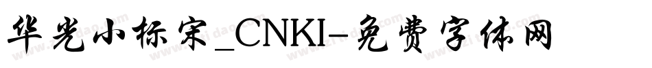 华光小标宋_CNKI字体转换