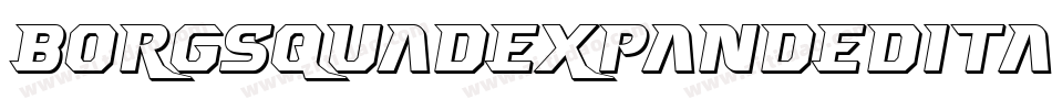 BorgsquadExpandedItalic-6qz6字体转换