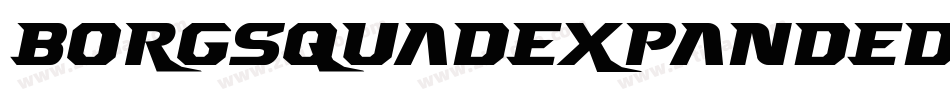 BorgsquadExpandedItalic-6qz6字体转换