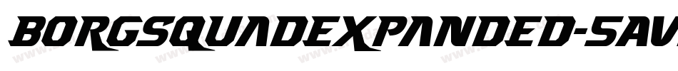 BorgsquadExpanded-5AVz字体转换