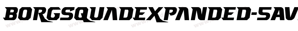 BorgsquadExpanded-5AVz字体转换