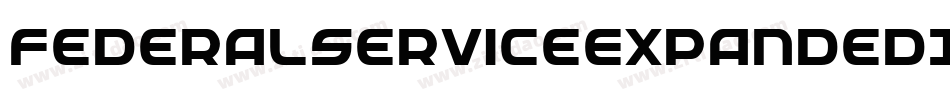 FederalServiceExpandedItalic-4zK9字体转换