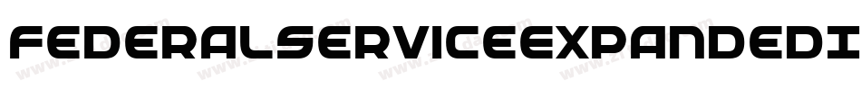 FederalServiceExpandedItalic-4zK9字体转换