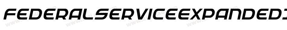 FederalServiceExpandedItalic-4zK9字体转换