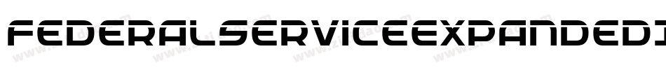 FederalServiceExpandedItalic-4zK9字体转换
