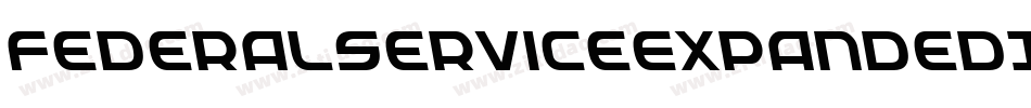 FederalServiceExpandedItalic-4zK9字体转换