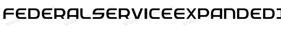 FederalServiceExpandedItalic-4zK9字体转换