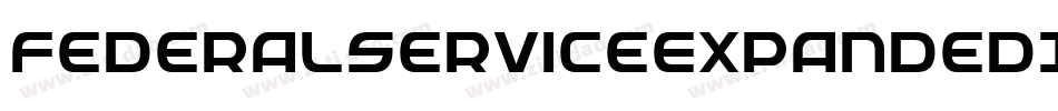 FederalServiceExpandedItalic-4zK9字体转换