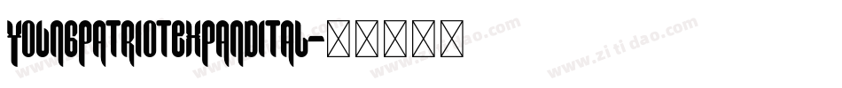 youngpatriotexpandital字体转换