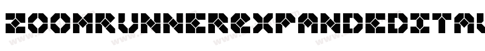 ZoomRunnerExpandedItalic-LXEg字体转换