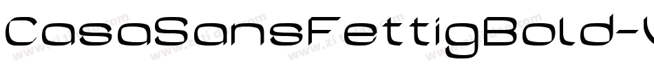 CasaSansFettigBold-VErz字体转换