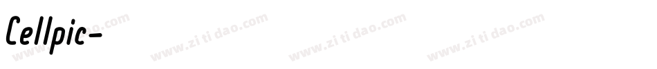 Cellpic字体转换
