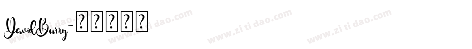 DavidBurry字体转换