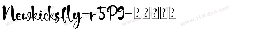 Newkicksfly-r5P9字体转换