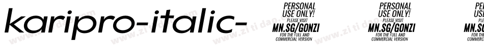 karipro-italic字体转换 karipro-italic字体转换