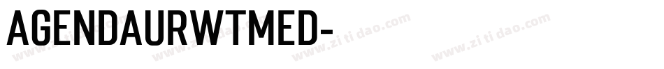 AgendaURWTMed字体转换