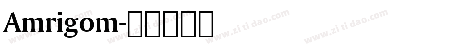 Amrigom字体转换