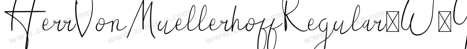 HerrVonMuellerhoffRegular-W5YA字体转换