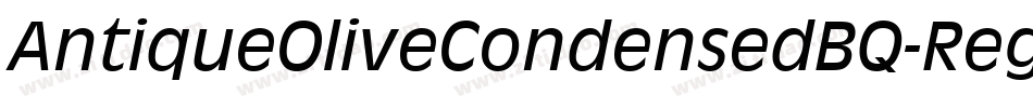 AntiqueOliveCondensedBQ-Regular字体转换