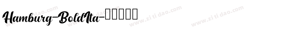 Hamburg-BoldIta字体转换