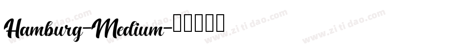 Hamburg-Medium字体转换