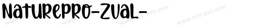 NaturePro-zval字体转换