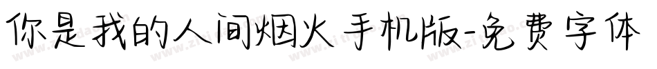你是我的人间烟火手机版字体转换
