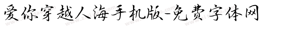 爱你穿越人海手机版字体转换