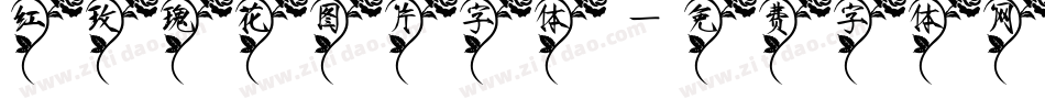 红玫瑰花图片字体字体转换