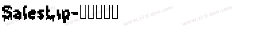 SalesLip字体转换