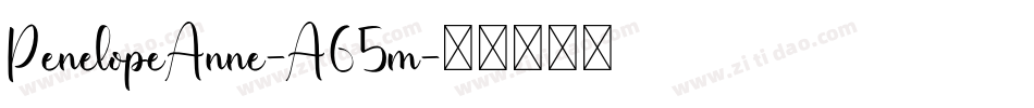 PenelopeAnne-A65m字体转换