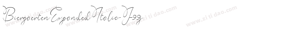 BiergaertenExpandedItalic-J99j字体转换