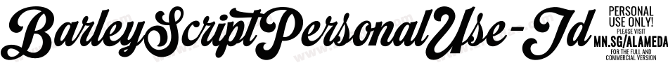 BarleyScriptPersonalUse-Jd3E字体转换