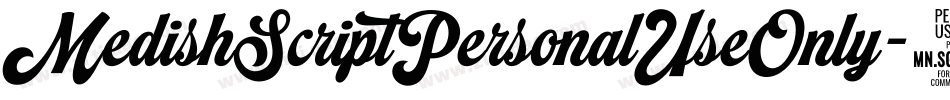 MedishScriptPersonalUseOnly-48eW字体转换