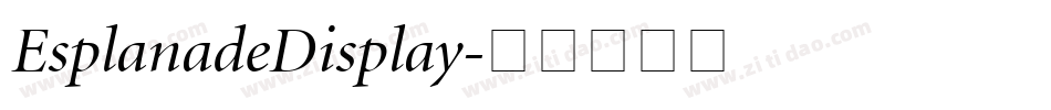 EsplanadeDisplay字体转换