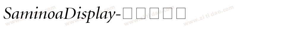 SaminoaDisplay字体转换