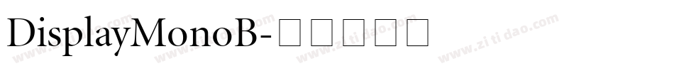 DisplayMonoB字体转换
