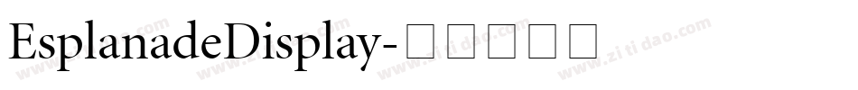 EsplanadeDisplay字体转换