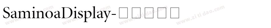 SaminoaDisplay字体转换