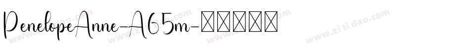 PenelopeAnne-A65m字体转换 PenelopeAnne-A65m字体转换